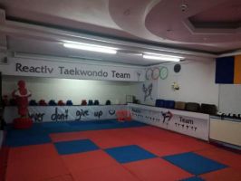 s li de sport de taekwondo bucharest Reactiv Taekwondo Team