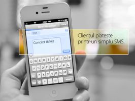 speciali ti in procesare de text bucharest 4Pay Systems SRL