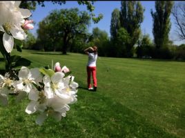 cursuri de golf bucharest Academia de golf Bucuresti