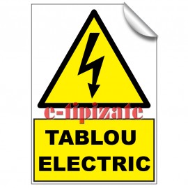 Tablou Electric