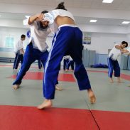 cursuri de hapkido bucharest Akademia Sparta
